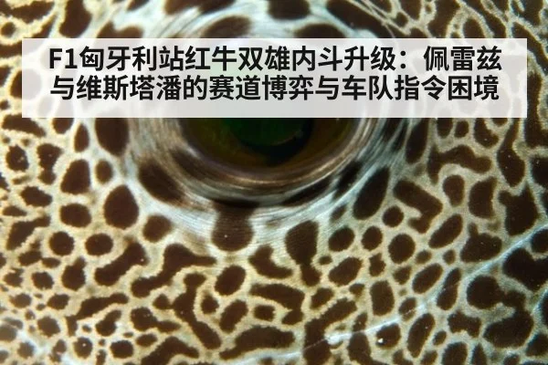 F1匈牙利站红牛双雄内斗升级：佩雷兹与维斯塔潘的赛道博弈与车队指令困境
